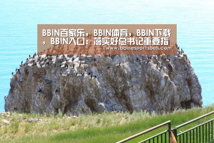 BBIN百家乐，BBIN体育，BBIN下载，BBIN入口